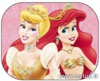 Lateral sun blinder Disney princess Cinderella - Ariel 2 PZ cod. 28203