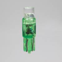 Truck led bulb 24 volt T5 wb-W2x4,6d - 1 led green
