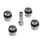 Cappucci valvola Search racing valve