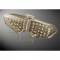 Fanale posteriore Piega led turn trasparente Yamaha R6   2003>2005
