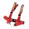 Cintura sportiva Search safety belt rosso