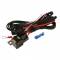 Anelli angel eyes auto Search 