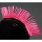 Pinne e creste Hairy RS cresta rosa  unica