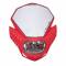 Cupolino moto Acerbis led vision hp rosso universale