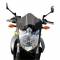 Cupolino Fabbri gen-x sport pmma fum� scuro Yamaha XJ6