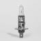 Halogen Light  bulb for car and motorbike H1 12 Volt 55 Watt P14,5s
