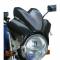 Cupolino moto Puig  wave carbon look  375x 325mm universale